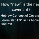 How New is the New Covenant?