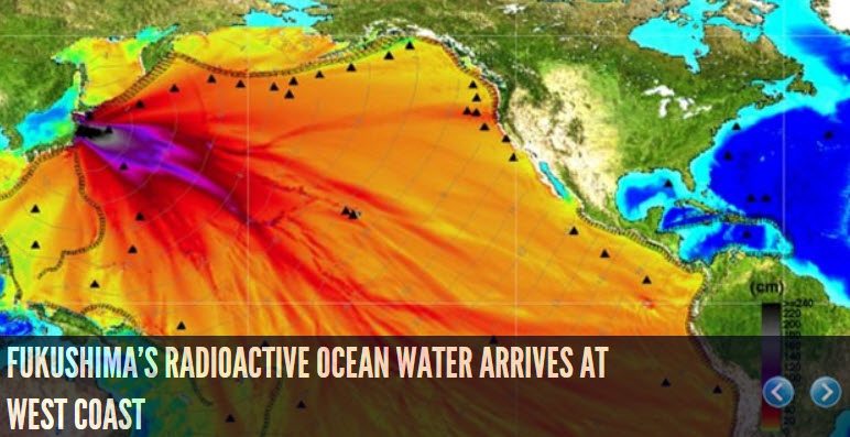 Fukushima's Radioactive Ocean Water Arrives At West Coast | Hebrew ...