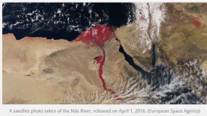 Nile River Turns Blood Red In Biblical Nature Phenomenon Hebrew Nile Turned Blood Red 4 1 16