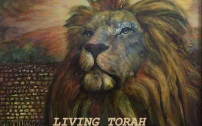 Living Torah “Rulings”