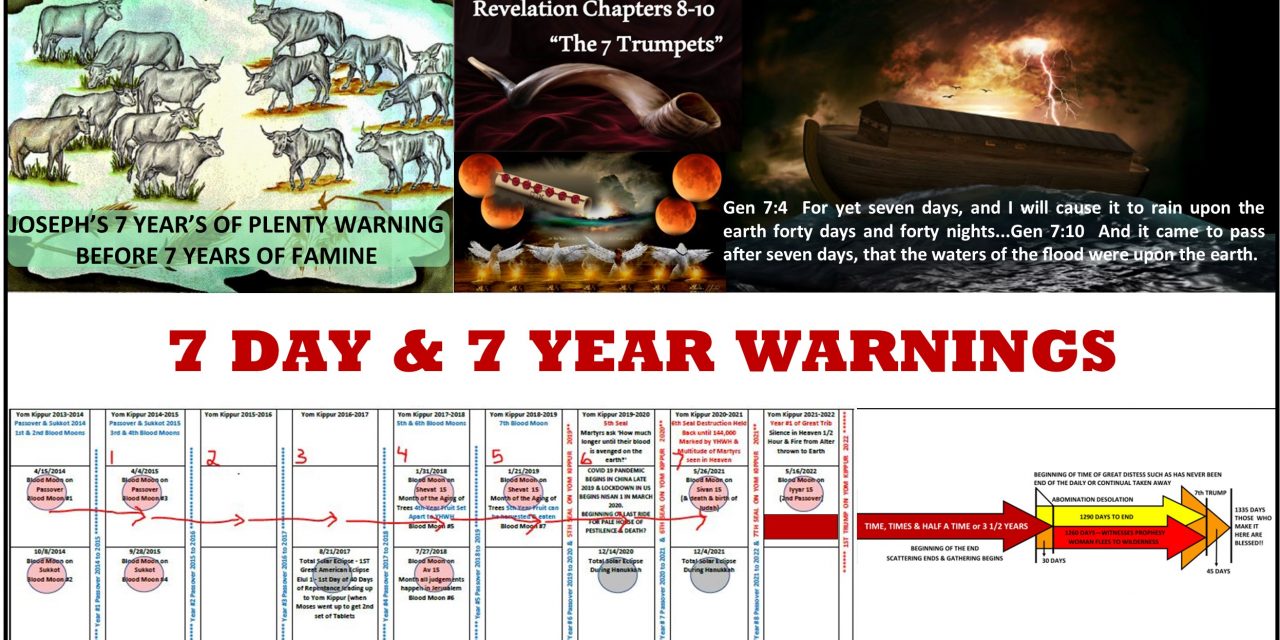 7 Day & 7 Year Warnings in Scripture